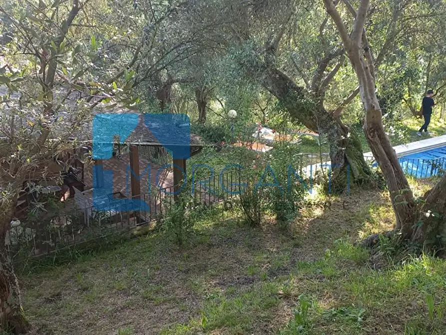 Immagine 22 di Villa in vendita  a Camaiore
