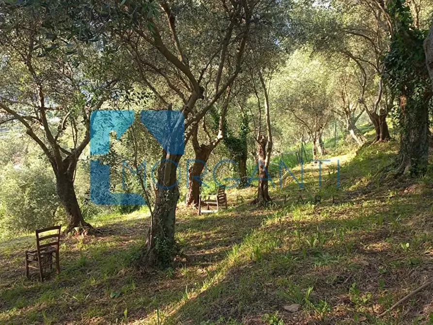 Immagine 24 di Villa in vendita  a Camaiore