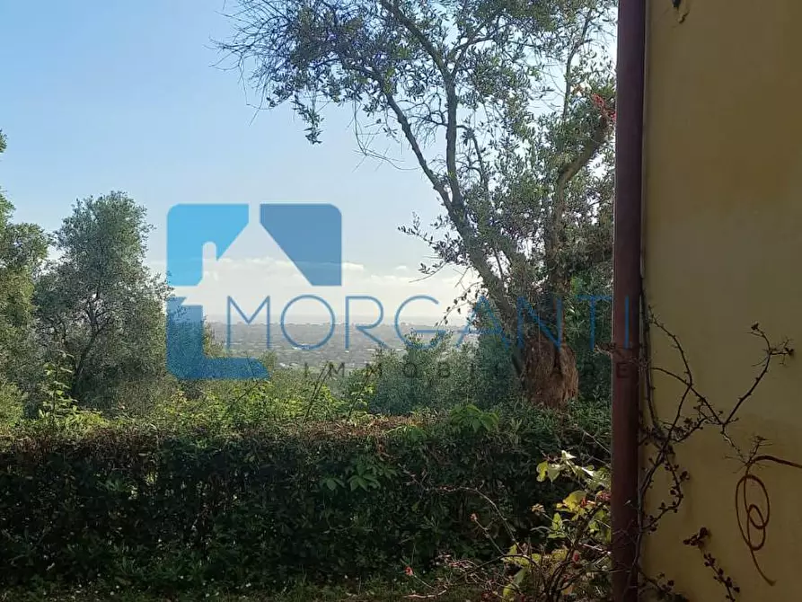 Immagine 29 di Villa in vendita  a Camaiore