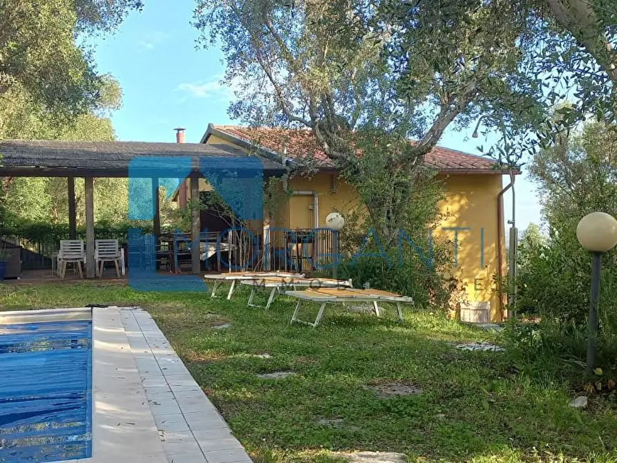 Immagine 21 di Villa in vendita  a Camaiore