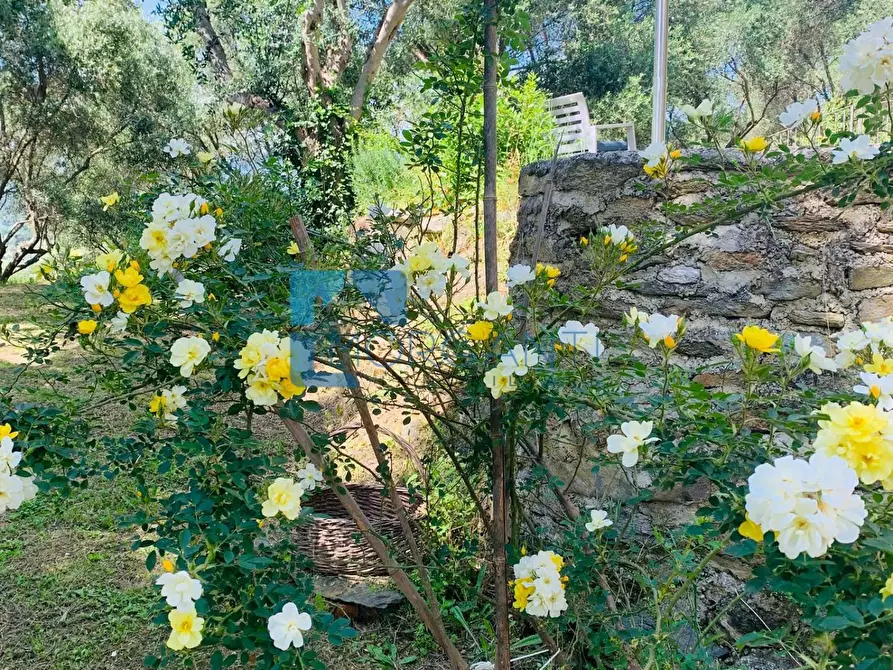 Immagine 17 di Villa in vendita  a Camaiore