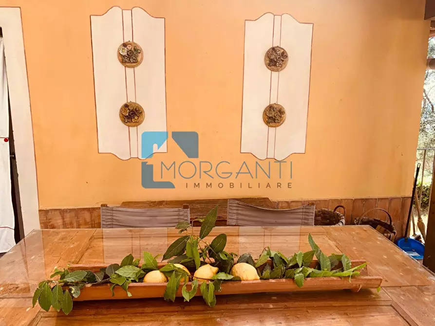 Immagine 6 di Villa in vendita  a Camaiore