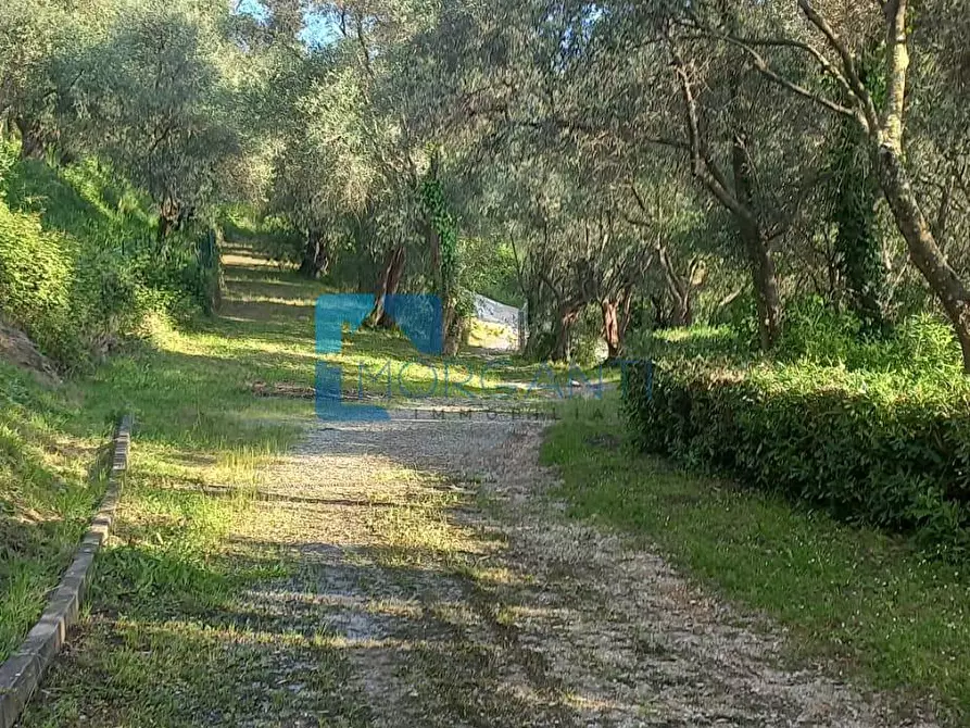 Immagine 27 di Villa in vendita  a Camaiore