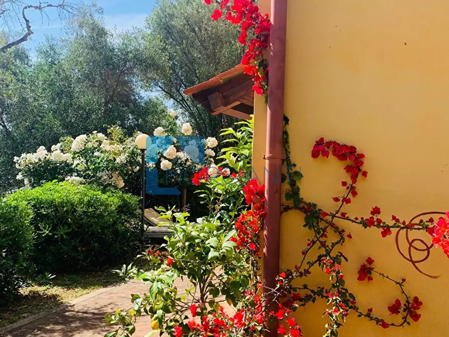 Immagine 14 di Villa in vendita  a Camaiore