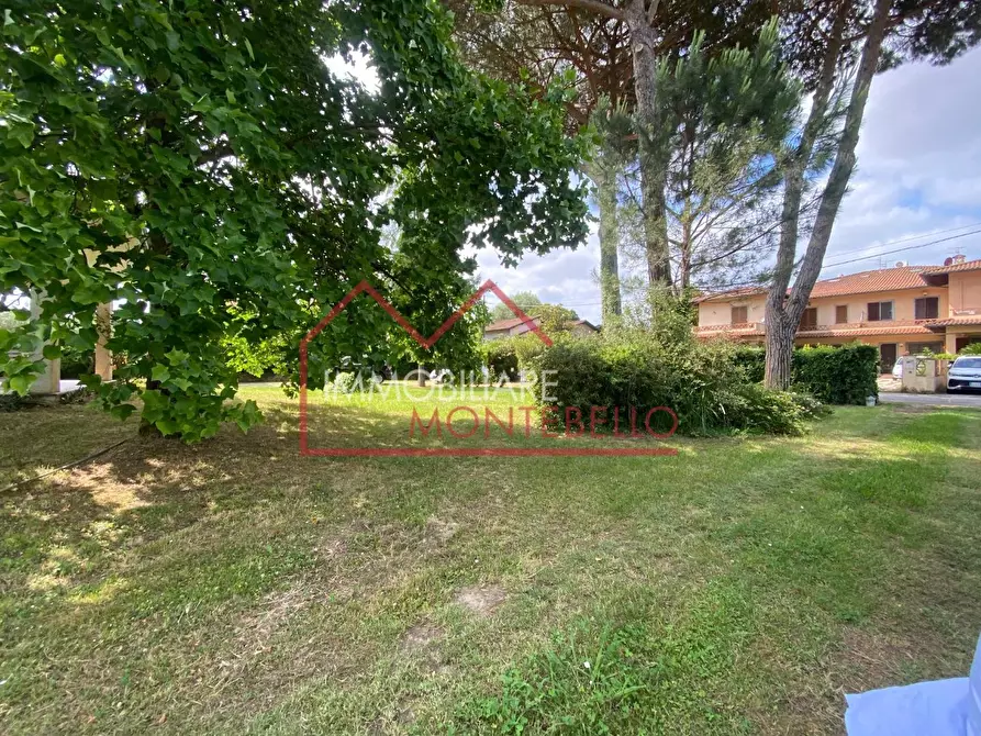 Immagine 5 di Casa indipendente in vendita  a Camaiore