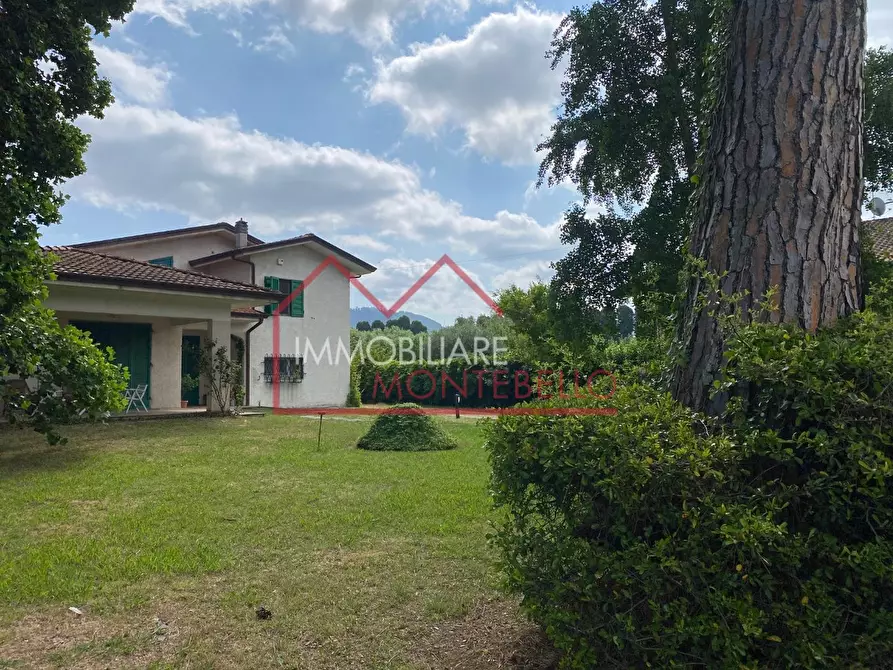 Immagine 14 di Casa indipendente in vendita  a Camaiore