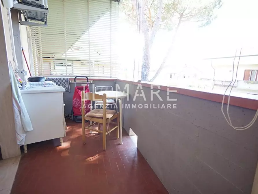 Immagine 2 di Appartamento in vendita  a Massa