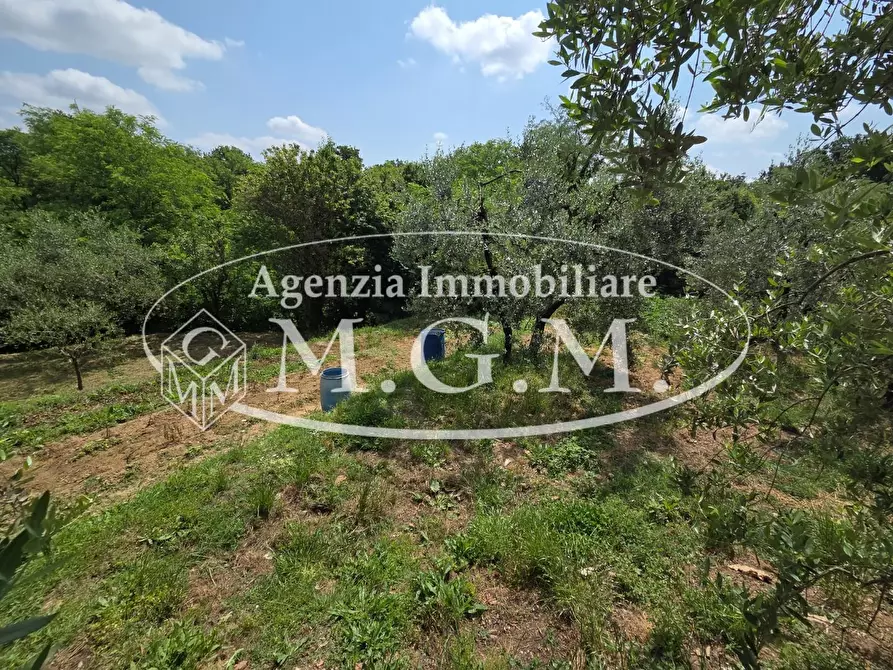 Immagine 21 di Terratetto in vendita  a Santa Maria A Monte