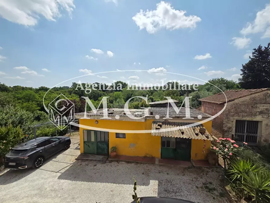 Immagine 15 di Terratetto in vendita  a Santa Maria A Monte