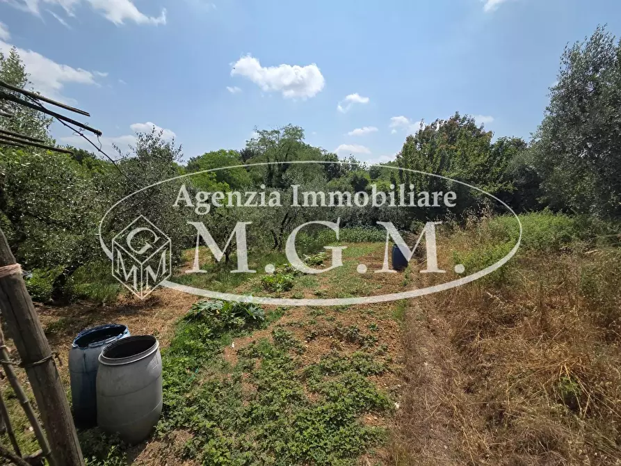 Immagine 19 di Terratetto in vendita  a Santa Maria A Monte