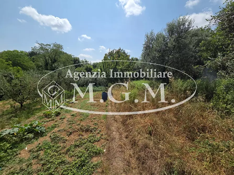 Immagine 20 di Terratetto in vendita  a Santa Maria A Monte