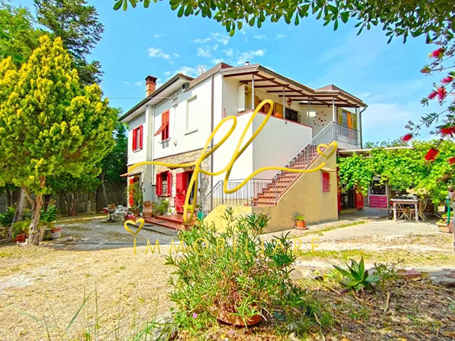 Immagine 27 di Casa colonica in vendita  a San Vincenzo