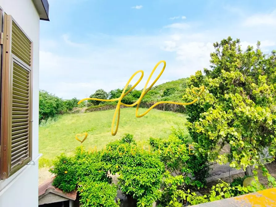 Immagine 23 di Casa colonica in vendita  a San Vincenzo