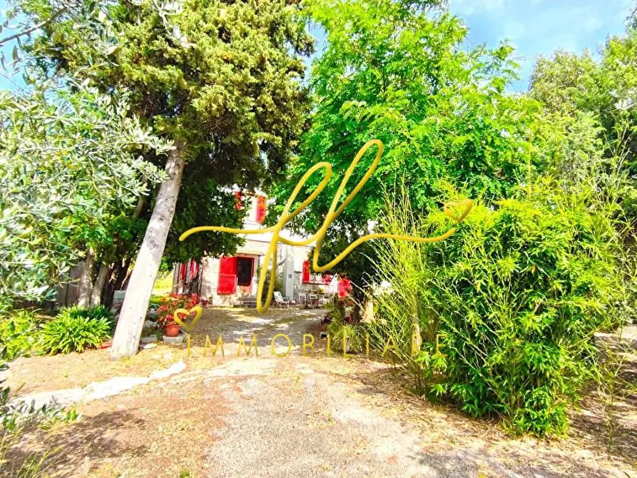 Immagine 31 di Casa colonica in vendita  a San Vincenzo