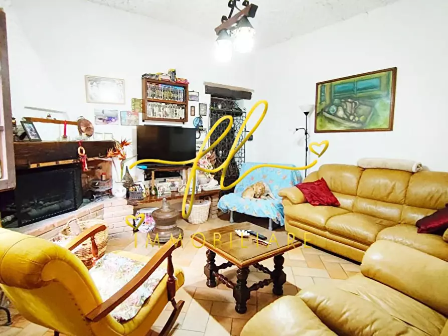 Immagine 4 di Casa colonica in vendita  a San Vincenzo