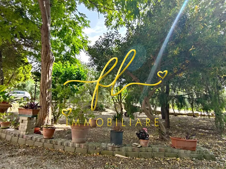 Immagine 34 di Casa colonica in vendita  a San Vincenzo