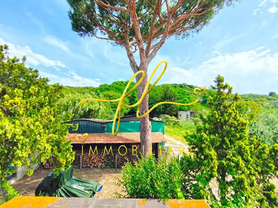 Immagine 24 di Casa colonica in vendita  a San Vincenzo