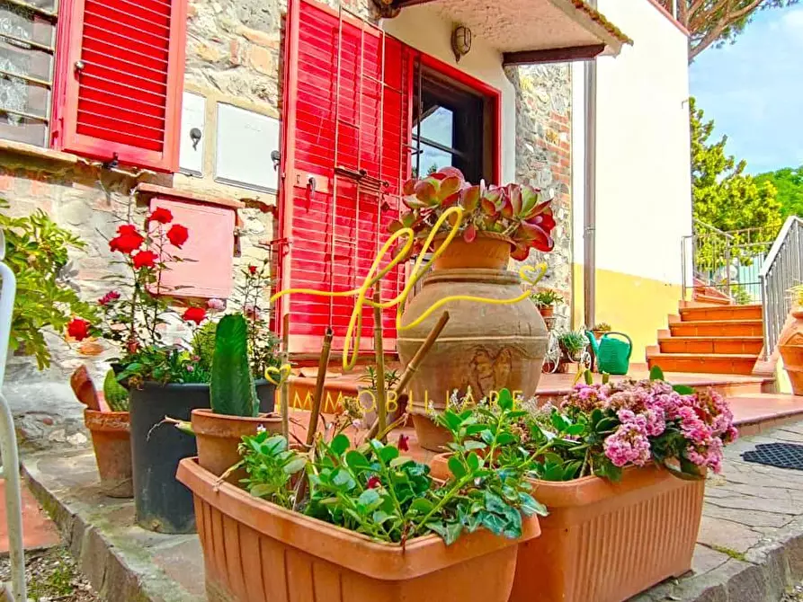 Immagine 29 di Casa colonica in vendita  a San Vincenzo