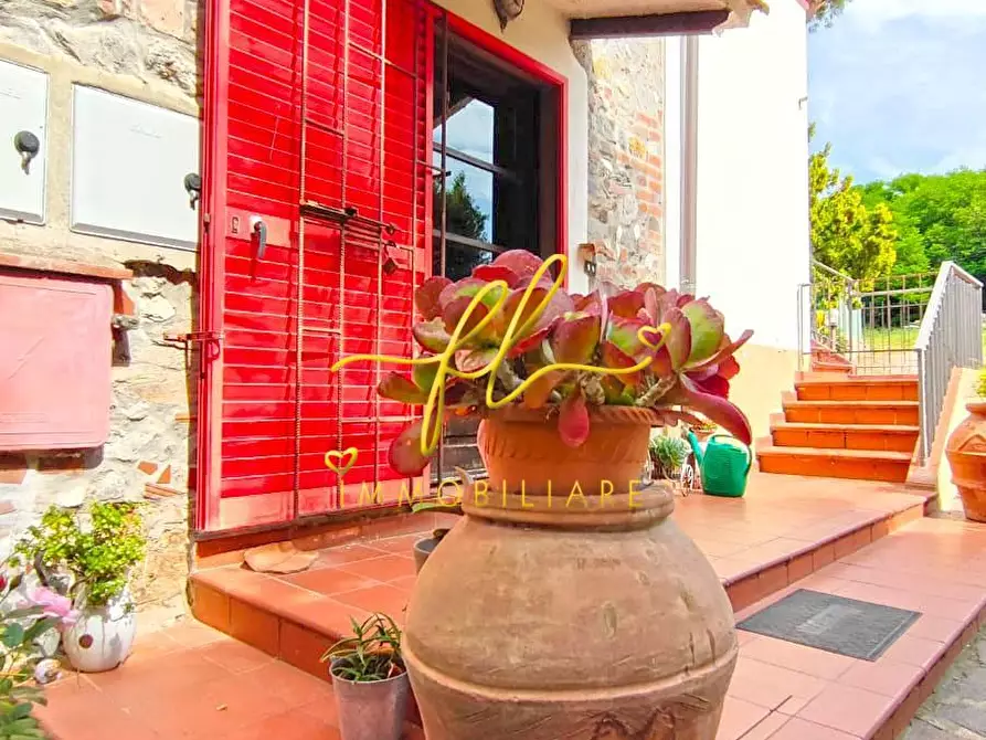 Immagine 30 di Casa colonica in vendita  a San Vincenzo