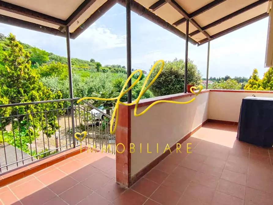 Immagine 21 di Casa colonica in vendita  a San Vincenzo