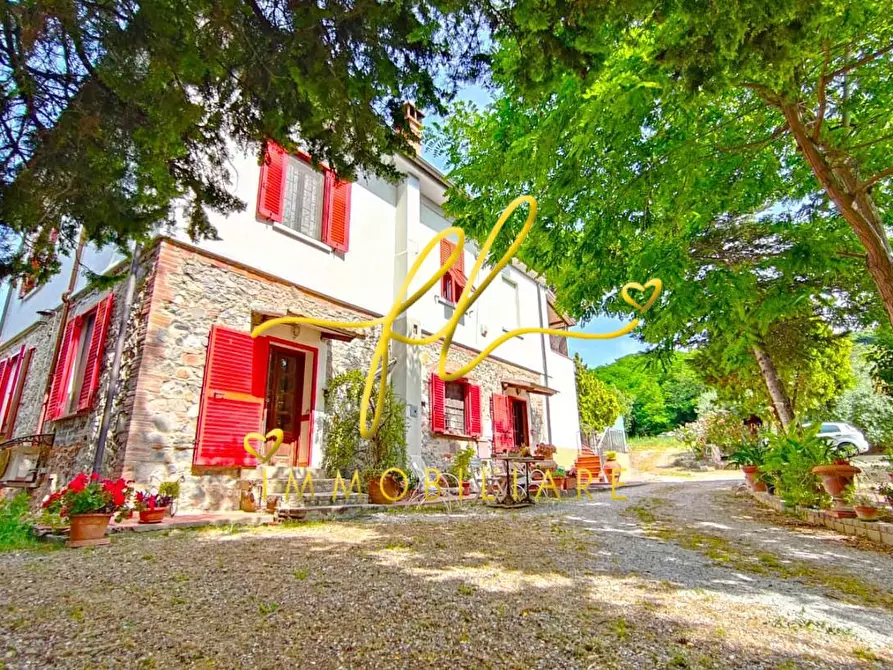 Immagine 33 di Casa colonica in vendita  a San Vincenzo