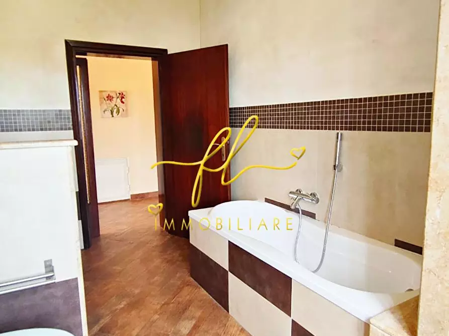 Immagine 16 di Appartamento in vendita  a Castagneto Carducci