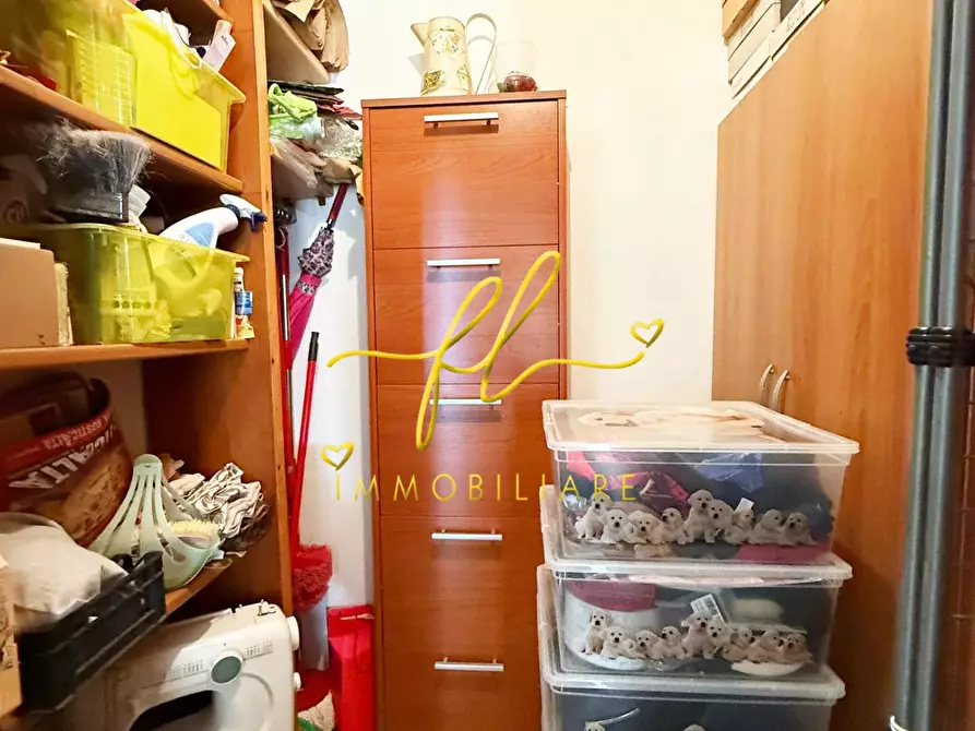 Immagine 19 di Appartamento in vendita  a Rosignano Marittimo