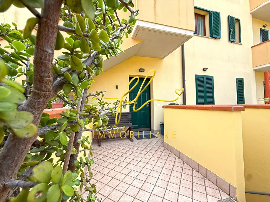 Immagine 16 di Appartamento in vendita  a Rosignano Marittimo