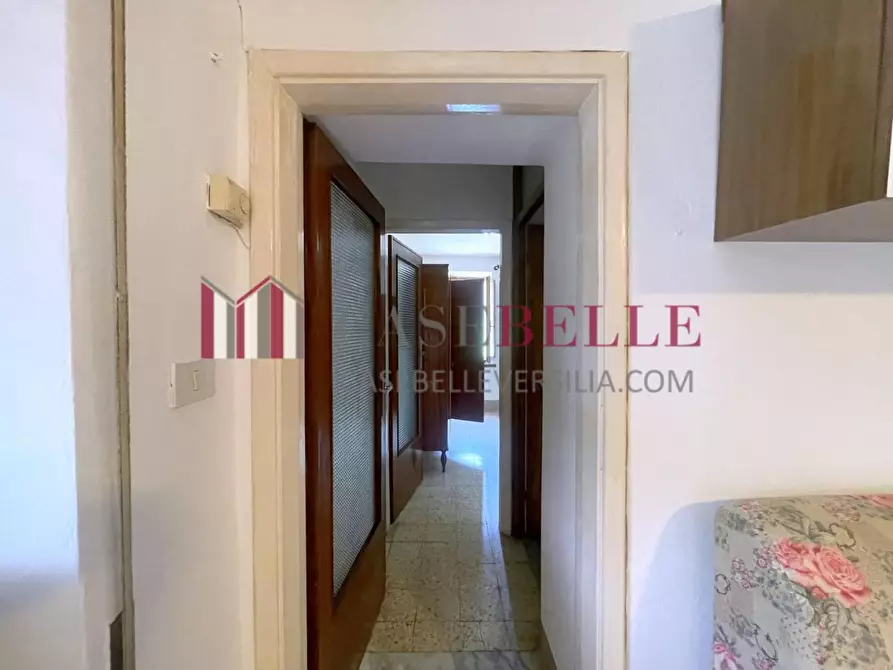 Immagine 6 di Terratetto in vendita  a Camaiore