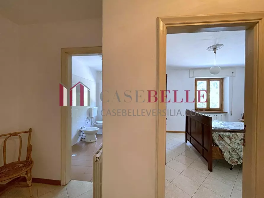 Immagine 26 di Terratetto in vendita  a Camaiore