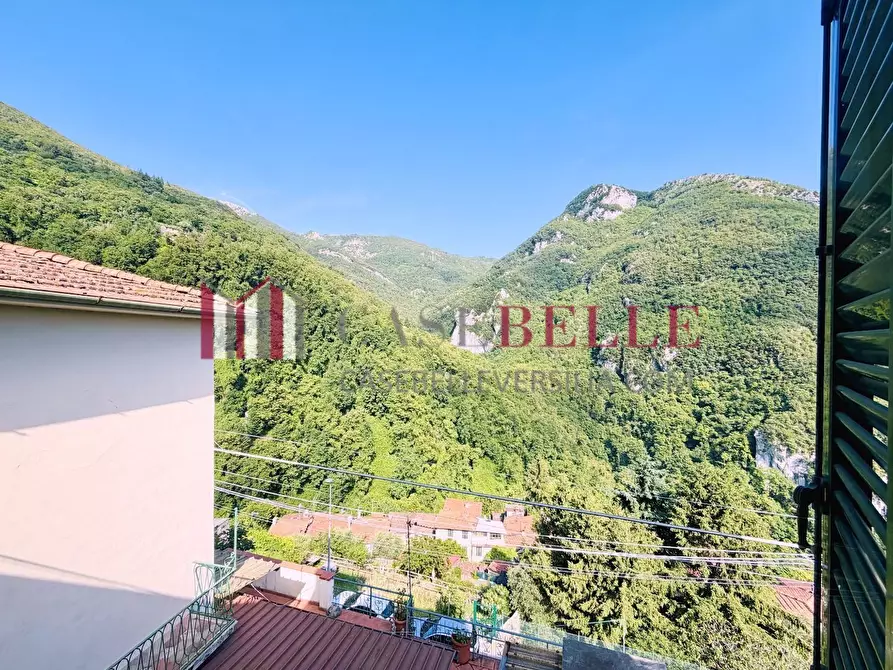 Immagine 23 di Terratetto in vendita  a Camaiore