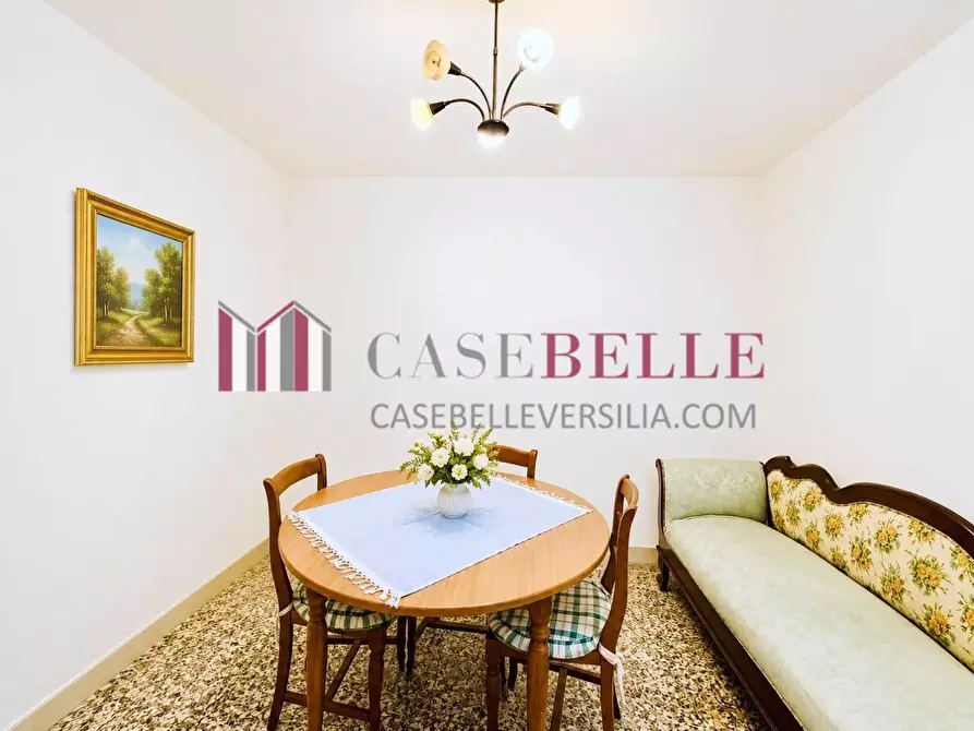 Immagine 6 di Terratetto in vendita  a Camaiore