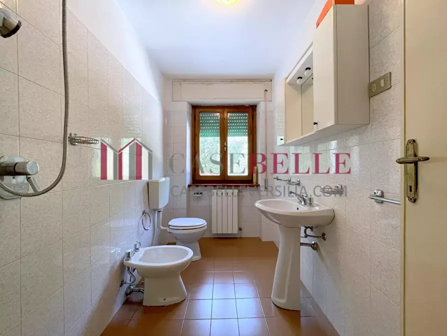 Immagine 33 di Terratetto in vendita  a Camaiore