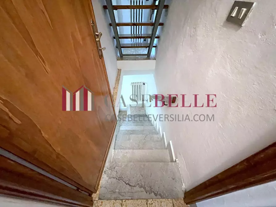 Immagine 17 di Terratetto in vendita  a Camaiore