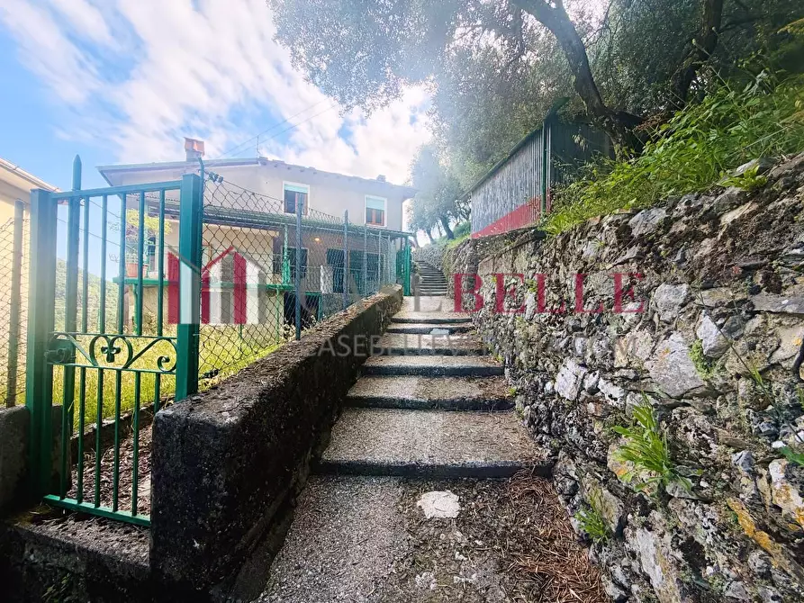 Immagine 49 di Terratetto in vendita  a Camaiore