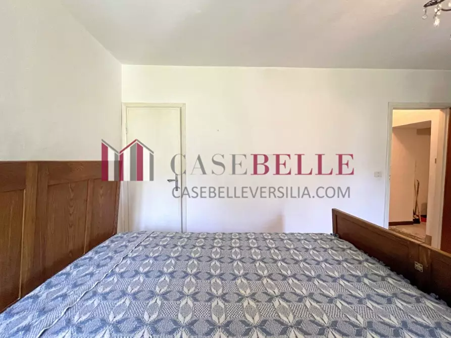 Immagine 10 di Terratetto in vendita  a Camaiore