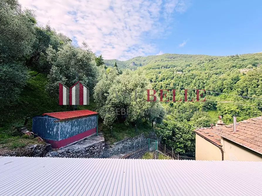 Immagine 31 di Terratetto in vendita  a Camaiore