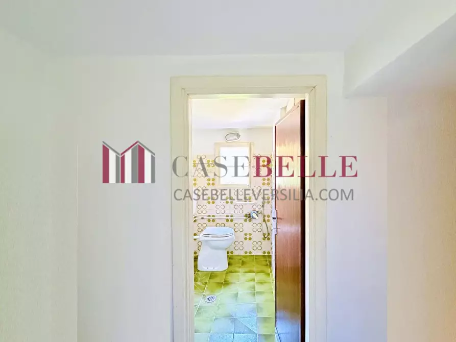 Immagine 12 di Terratetto in vendita  a Camaiore