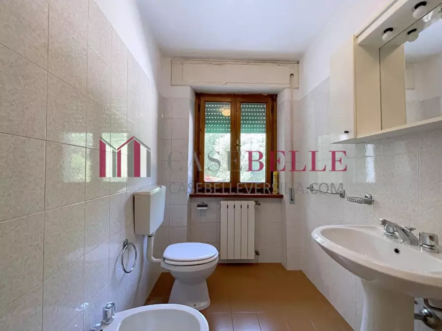 Immagine 34 di Terratetto in vendita  a Camaiore