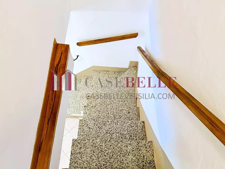 Immagine 42 di Terratetto in vendita  a Camaiore