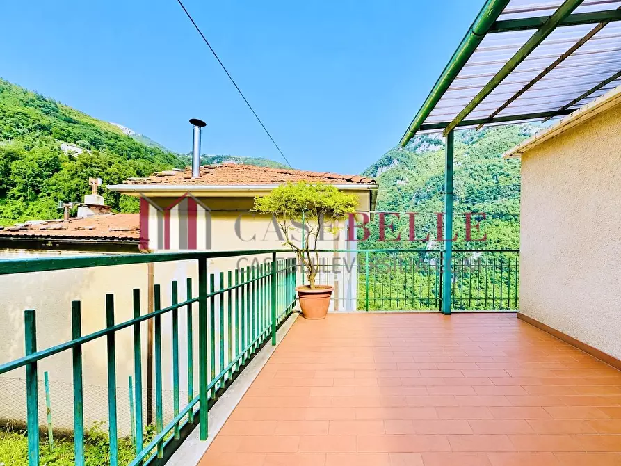 Immagine 45 di Terratetto in vendita  a Camaiore