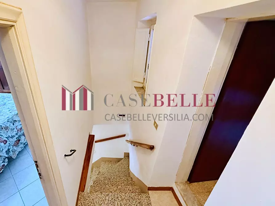 Immagine 41 di Terratetto in vendita  a Camaiore