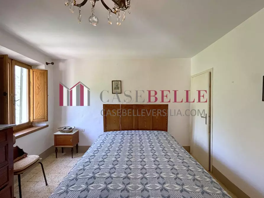 Immagine 9 di Terratetto in vendita  a Camaiore