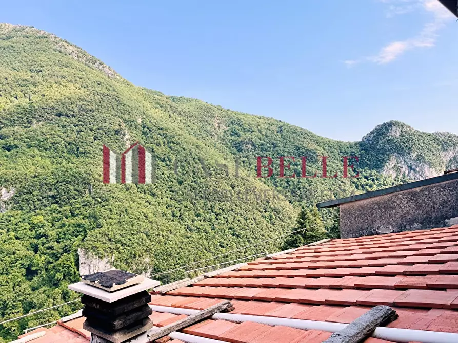 Immagine 40 di Terratetto in vendita  a Camaiore