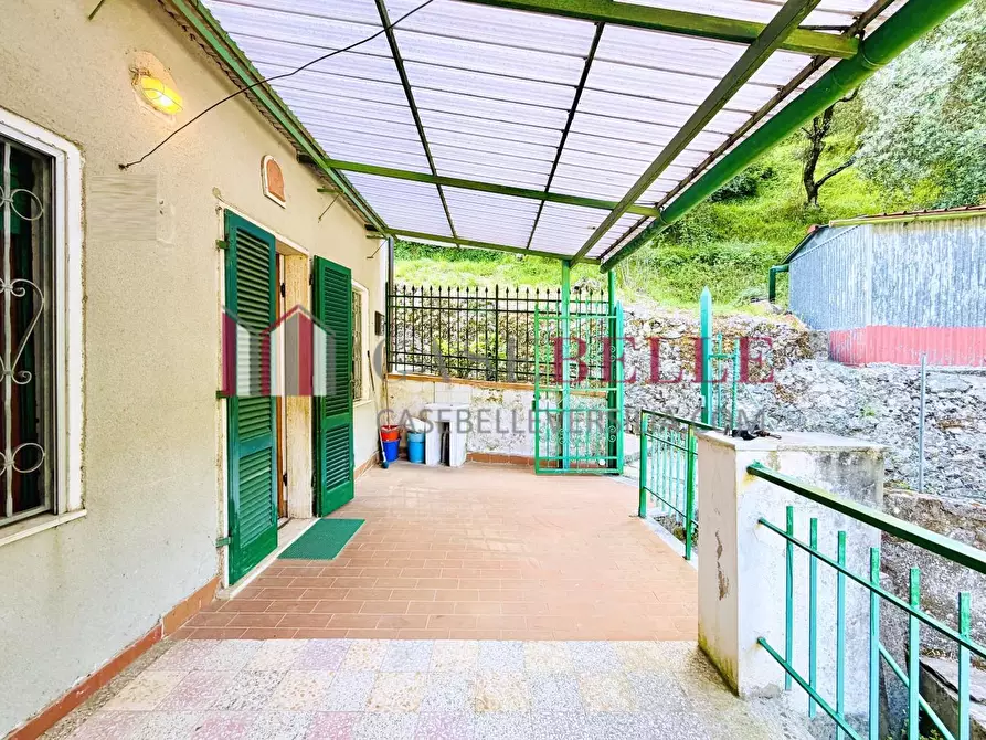 Immagine 48 di Terratetto in vendita  a Camaiore