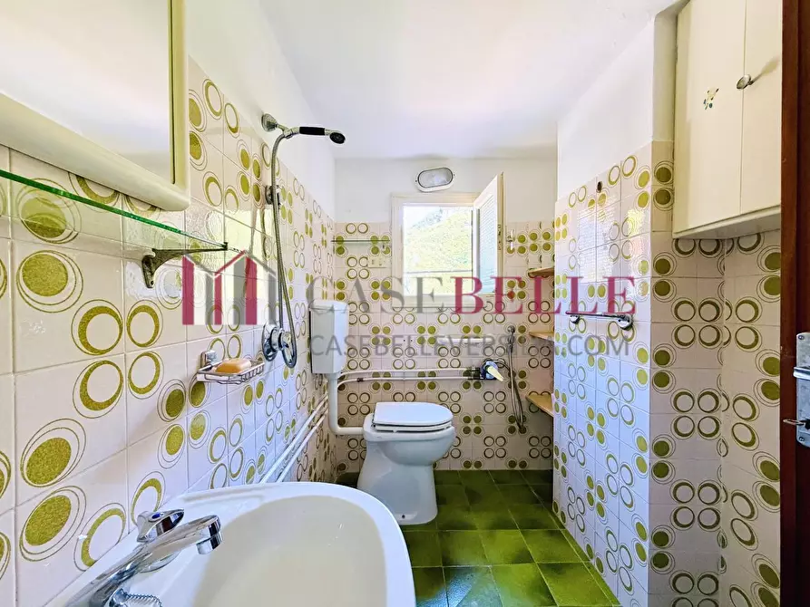 Immagine 13 di Terratetto in vendita  a Camaiore