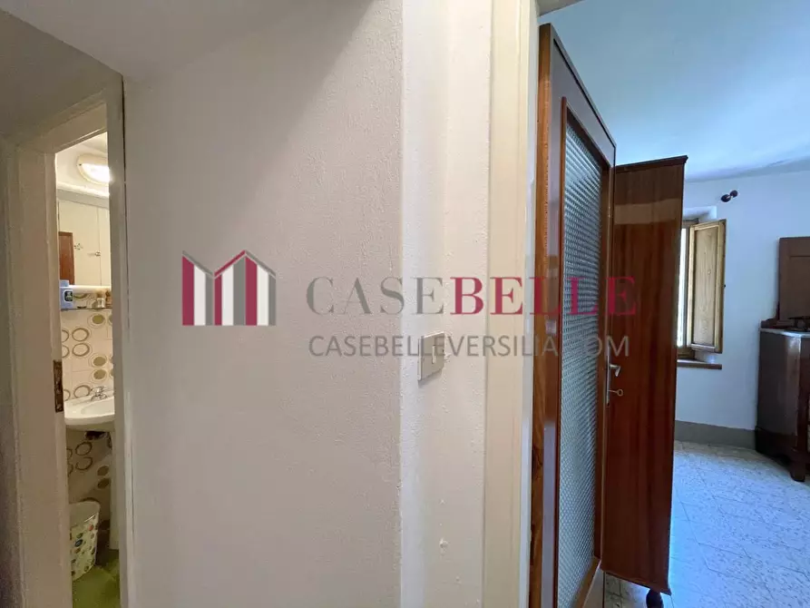 Immagine 12 di Terratetto in vendita  a Camaiore