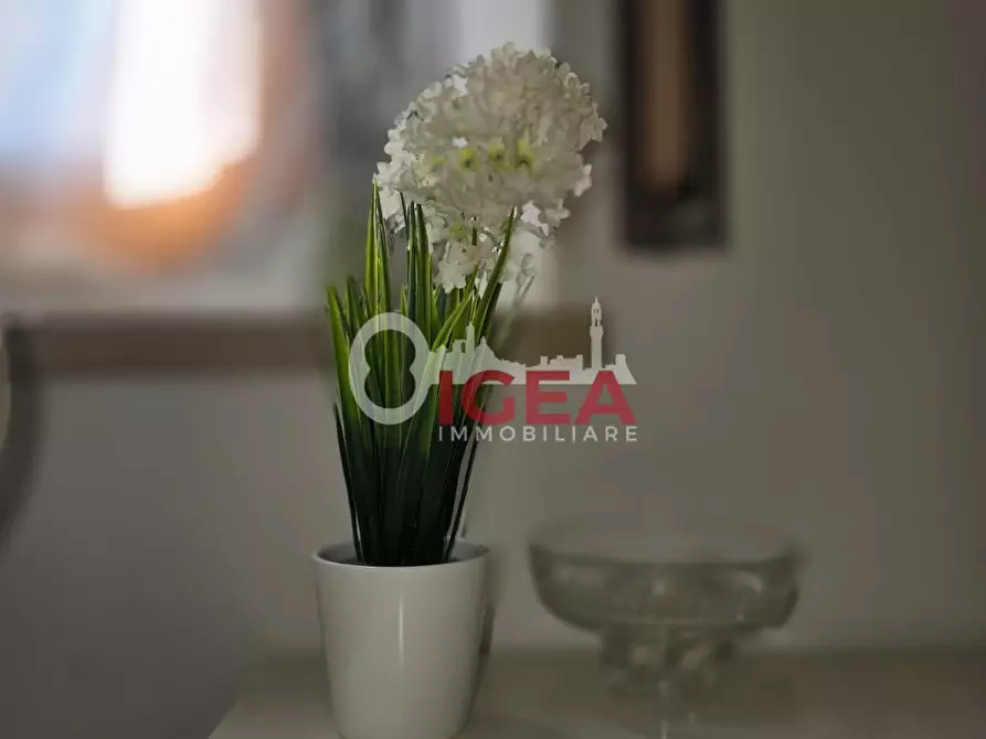 Immagine 17 di Appartamento in vendita  a Siena