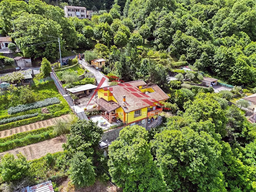 Immagine 26 di Villa in vendita  a Massa