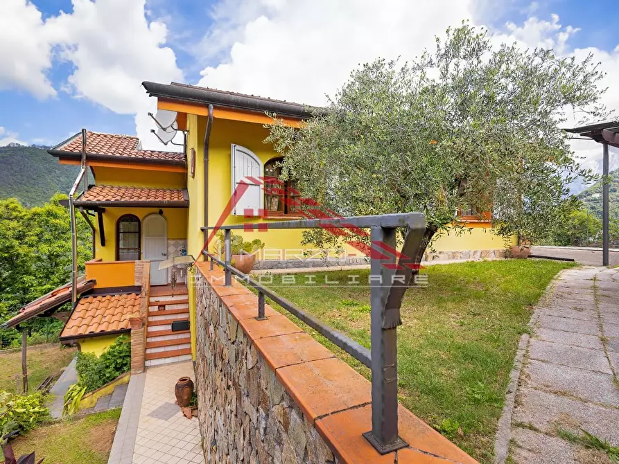 Immagine 25 di Villa in vendita  a Massa